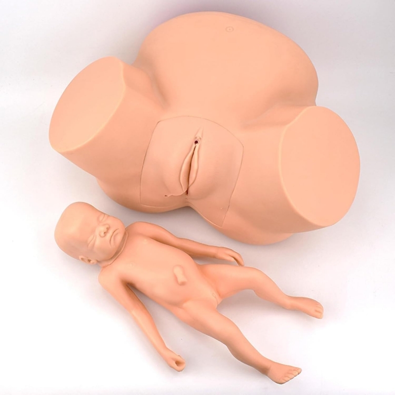 Midwifery Delivery Training Model (Maternal Pelvis + Neonate Manikin) | Myaskro