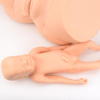 Midwifery Delivery Training Model (Maternal Pelvis + Neonate Manikin) | Myaskro