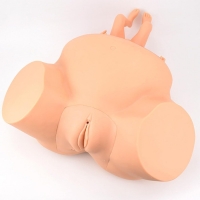 Midwifery Delivery Training Model (Maternal Pelvis + Neonate Manikin) | Myaskro