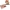 MYASKRO Pregnancy Anatomy Model Bundle MYASKRO Pregnancy Anatomy Model Bundle