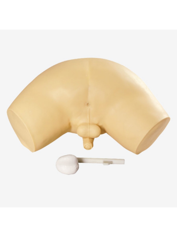 Prostate Examination Simulator By Myaskro (Premium Quality)
