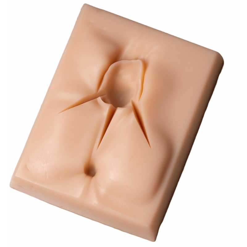 Vulva Suture Training Pad With 3 Mesh Layers (Premium Quality) - Myaskro