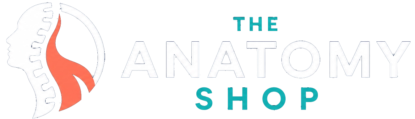 Anatomy Shop